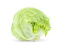 Iceberg Lettuce