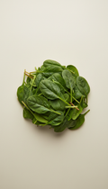 Fresh Organic Spinach Bunch