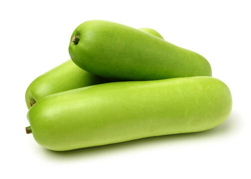 Bottle Gourd