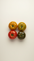Colorful Heirloom Tomatoes Mix