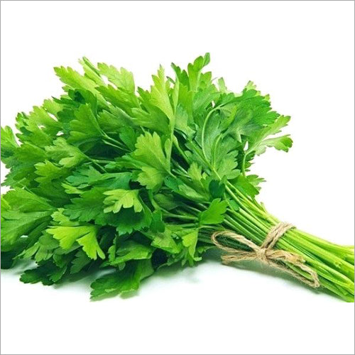 Coriander
