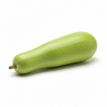 Bottle Gourd