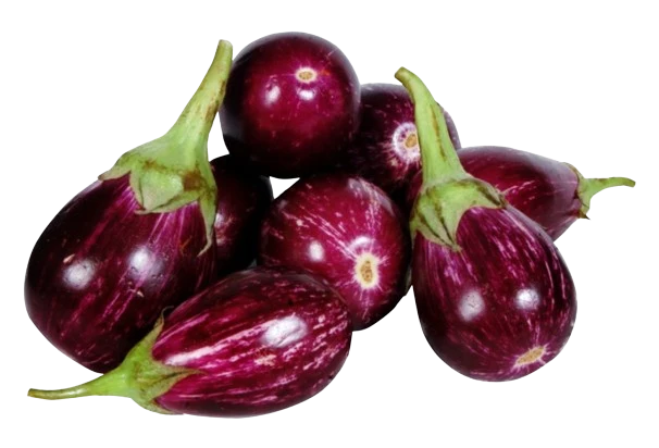 Brinjal