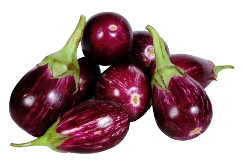 Brinjal