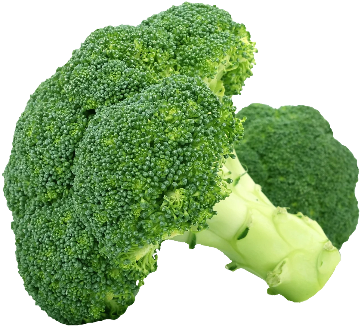 Broccoli | ब्रोकोली