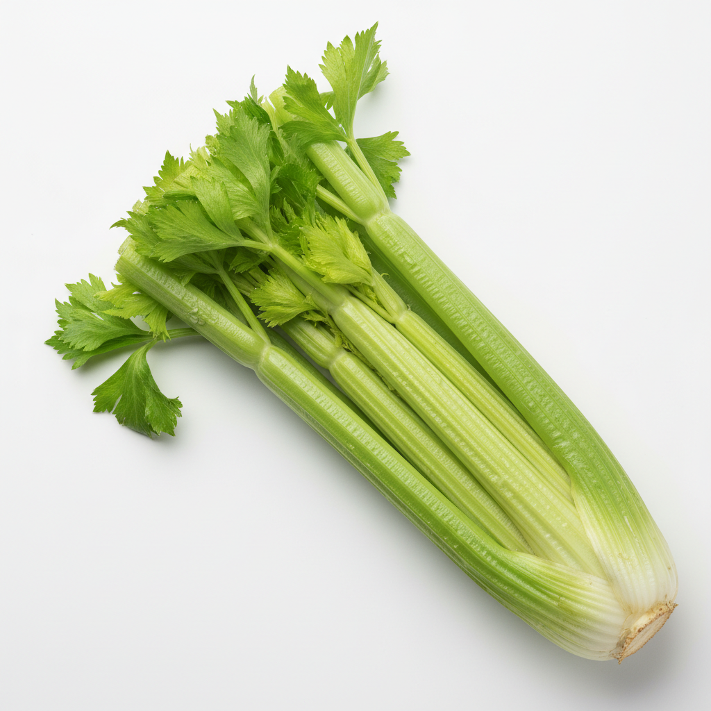 Celery | सेलेरी