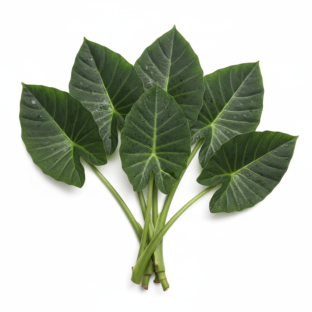 Colocasia Leaves | अळूची पाने