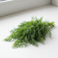 Dill Leaves