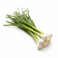 Green Garlic | हिरवा लसूण