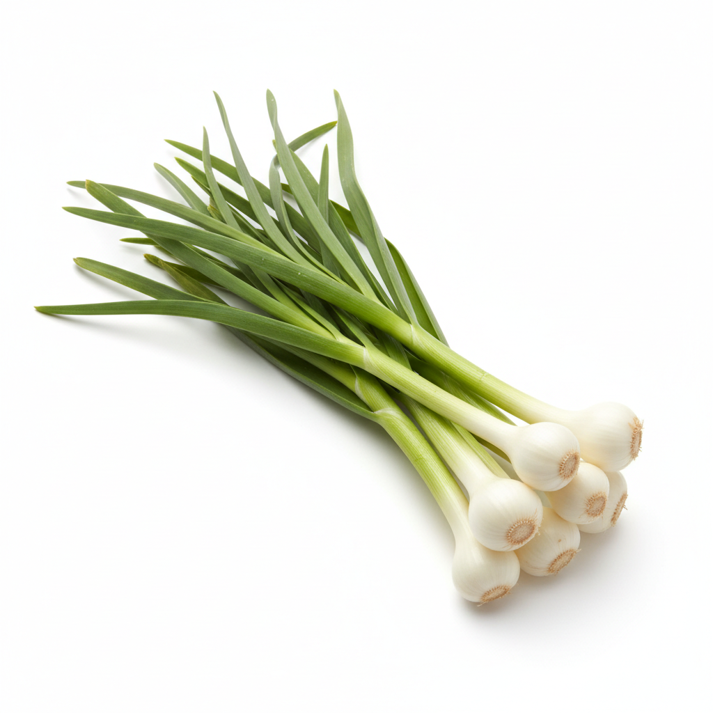 Green Garlic | हिरवा लसूण
