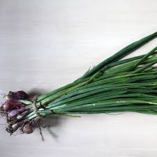 Spring Onion