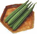 Ridge Gourd