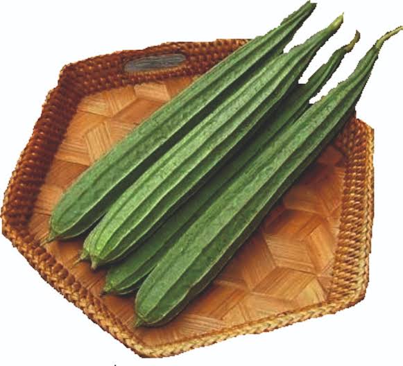 Ridge Gourd