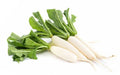 Radish