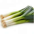 Leek | लीक