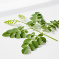 Moringa Leaves | शेवग्याची पाने