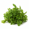 Parsley | पार्सले