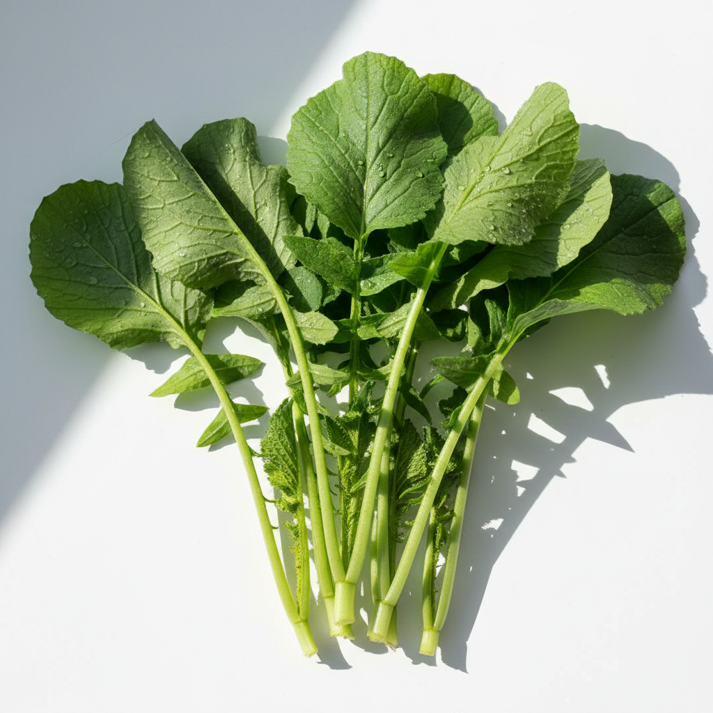 Radish Leaves | मुळ्याची पाने