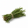 Rosemary | रोझमेरी