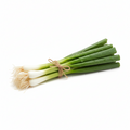 Spring Onion